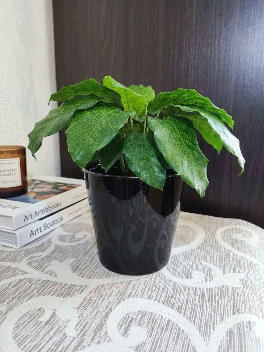 🖤✨ Керамічне кашпо чорний глянець (13×13 см)